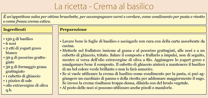 Crema al basilico - Ricetta